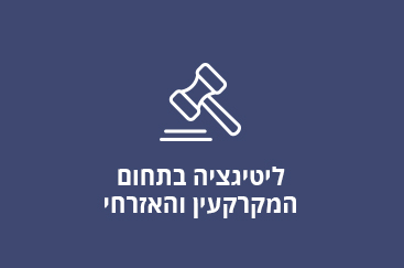 ליטיגציה בתחום המקרקעין והאזרחי