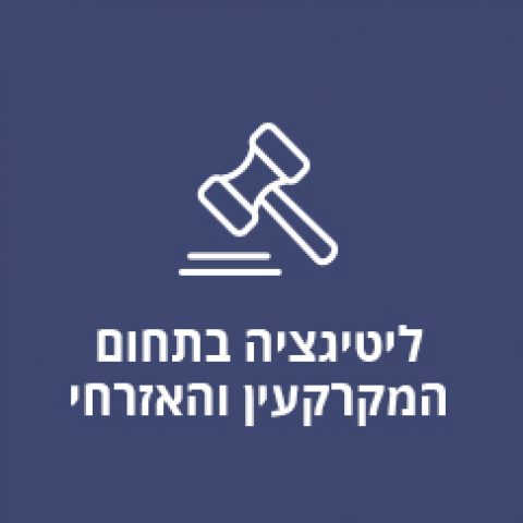 ליטיגציה בתחום המקרקעין והאזרחי